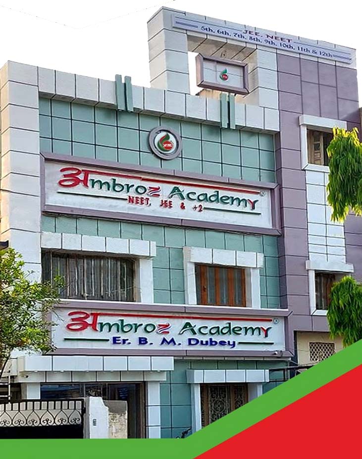 about ambroz academy